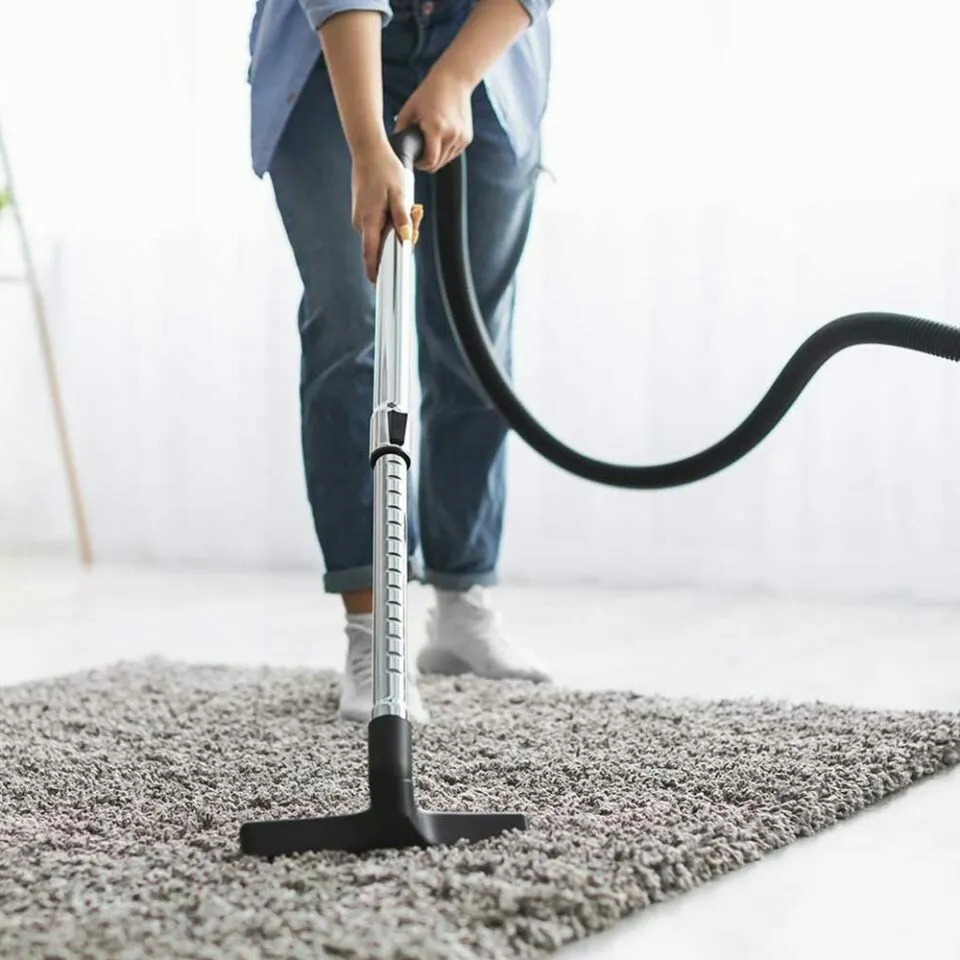 Carpet floor cleaning | De/Mar Design Studio