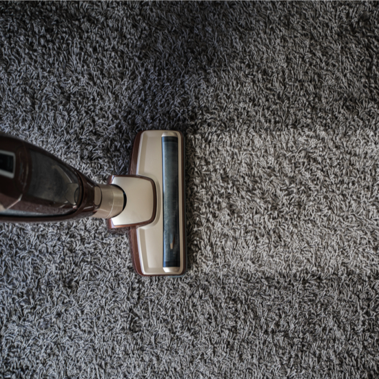 Carpet floor cleaning | De/Mar Design Studio